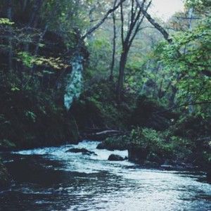 Meet your Posher, Huio